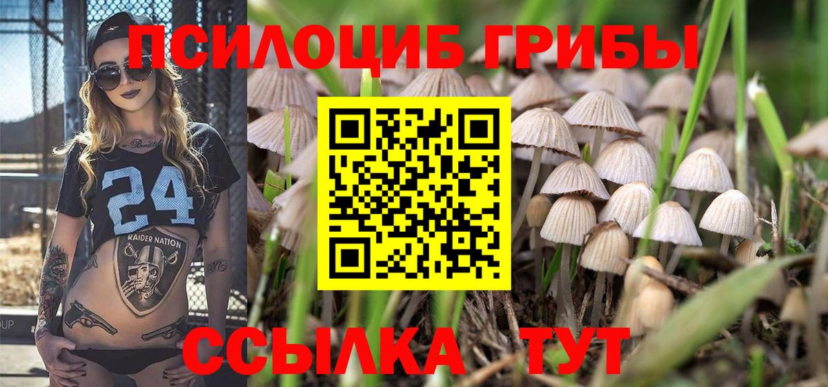 Галлюциногенные грибы GOLDEN TEACHER  Псилоцибиновые грибы GOLDEN TEACHER  Вход с VPN  Кропоткин 