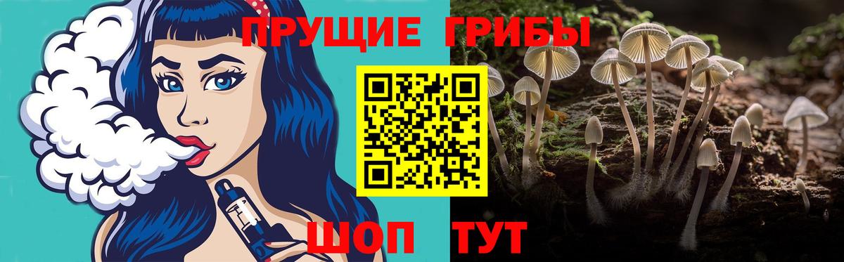 Галлюциногенные грибы Cubensis Кропоткин